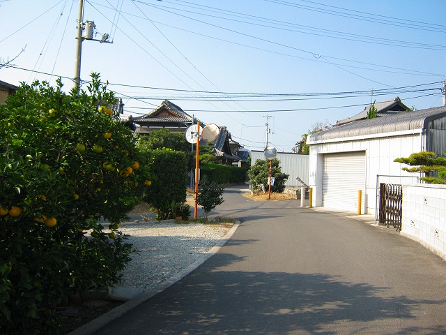 k20_100.jpg