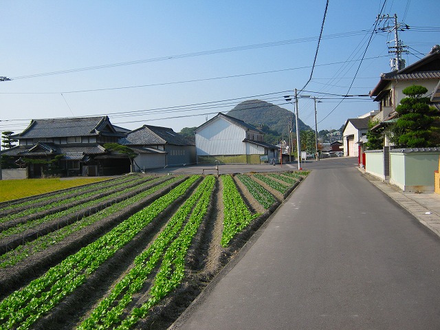 k20_104.jpg