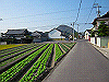k20_104_thumb.png
