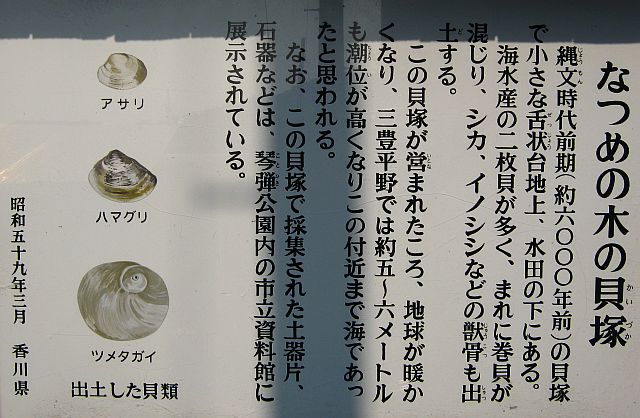 k20_105.jpg