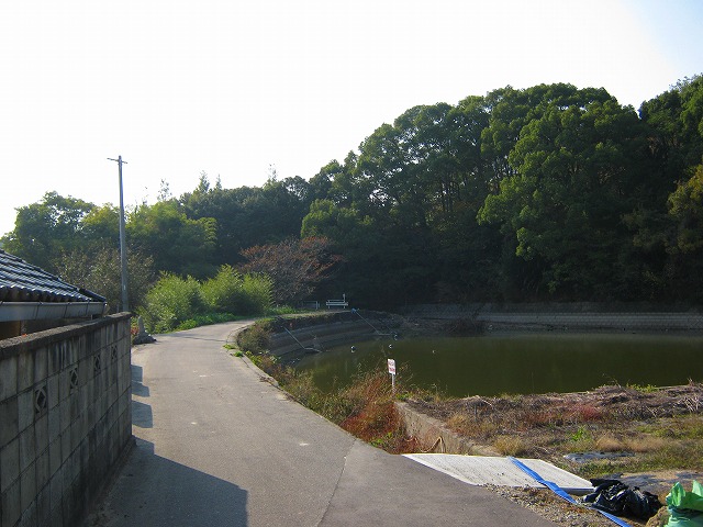 k20_113.jpg