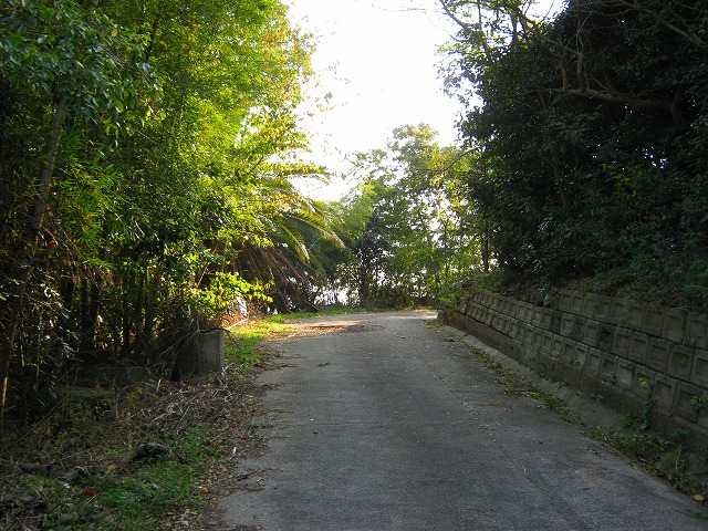 k20_114.jpg