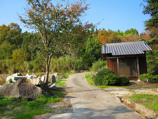 k20_115.jpg