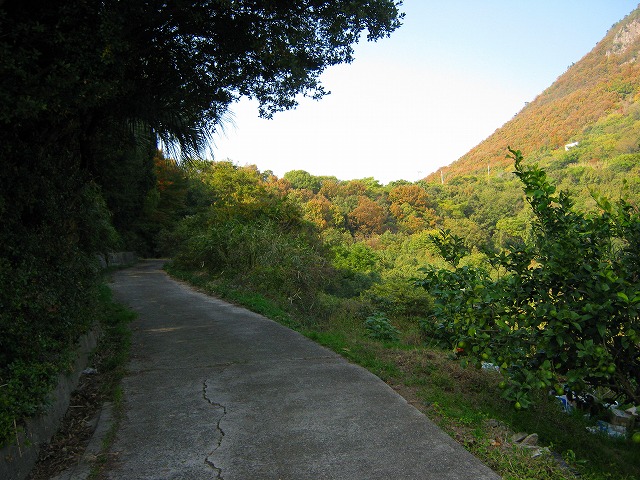 k20_116.jpg