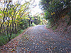 k20_117_thumb.png