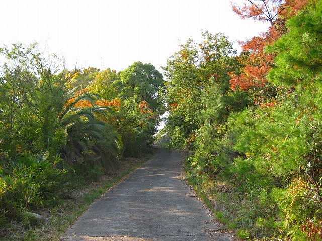 k20_118.jpg