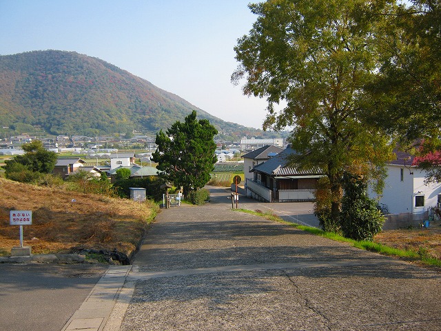 k20_123.jpg