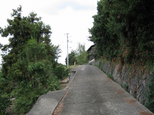 k21_023.jpg