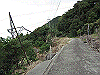 k21_029_thumb.png