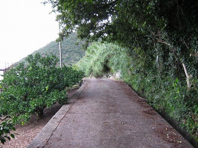 k21_030.jpg
