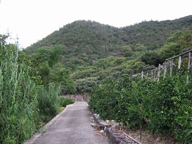 k21_031.jpg
