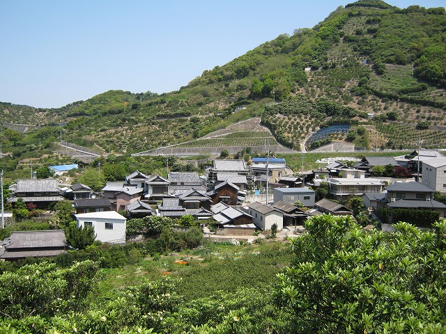 k21_065.jpg