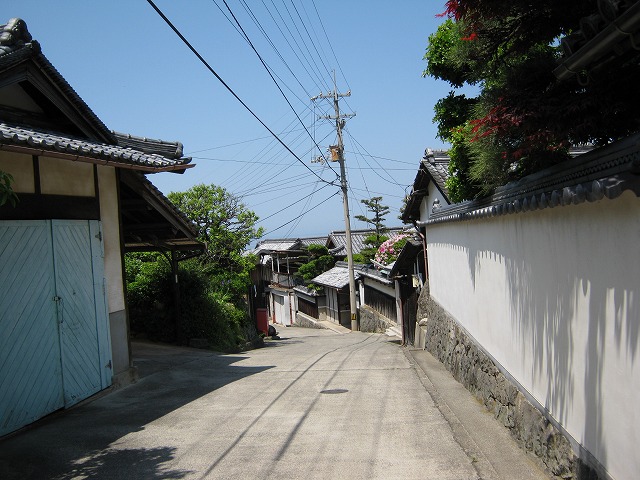 k21_067.jpg