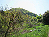 k21_091_thumb.png