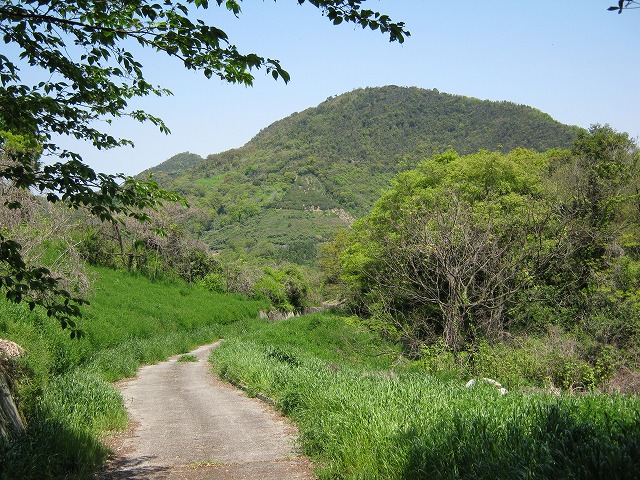 k21_092.jpg