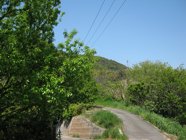 k22_006.jpg