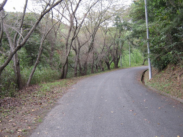 k22_038.jpg