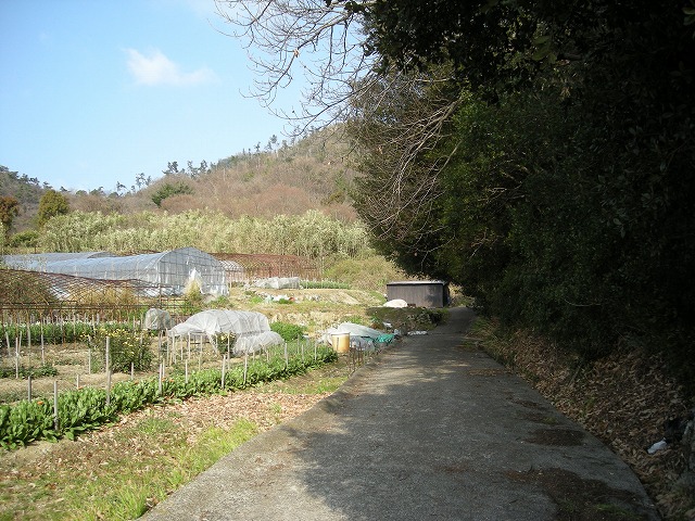 k23_14.jpg