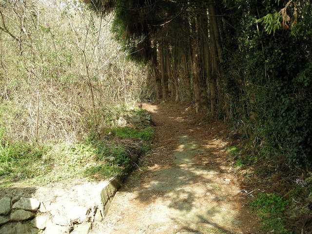 k23_16.jpg