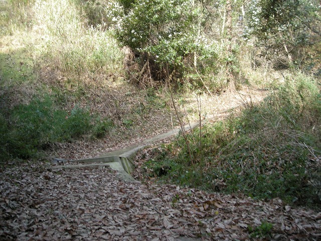 k23_19.jpg