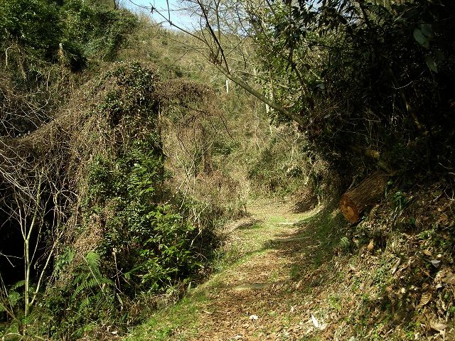 k23_21.jpg