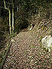 k23_22_thumb.png