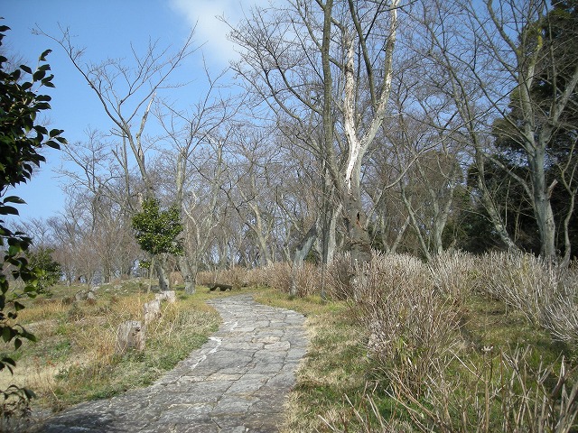 k23_42.jpg