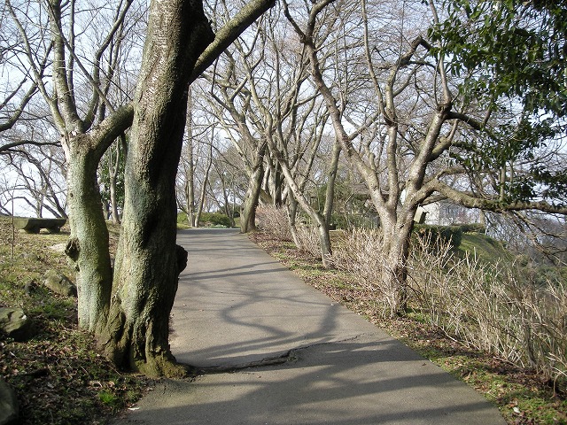 k23_44.jpg