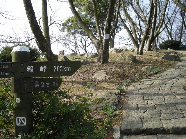 k23_47.jpg
