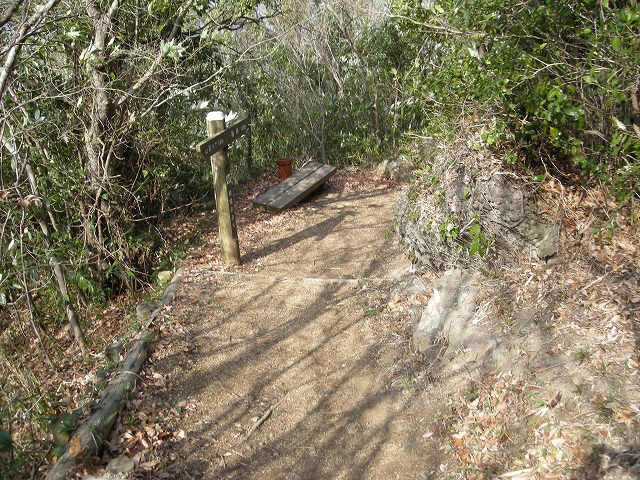 k23_56.jpg