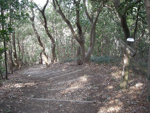 k23_58.jpg