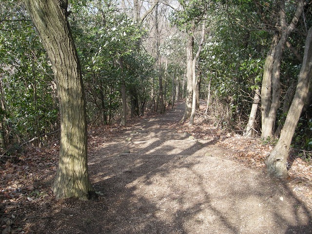 k23_59.jpg