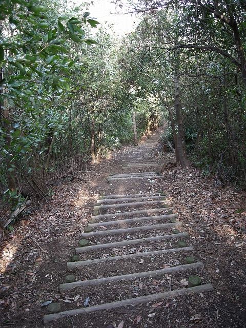 k23_60.jpg