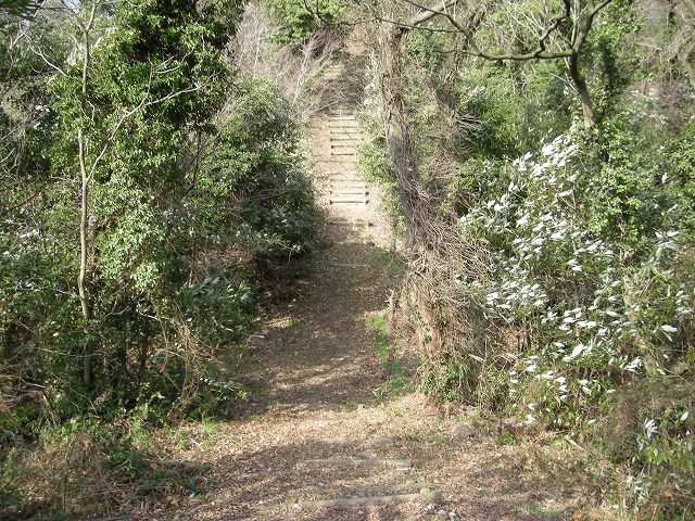 k23_61.jpg