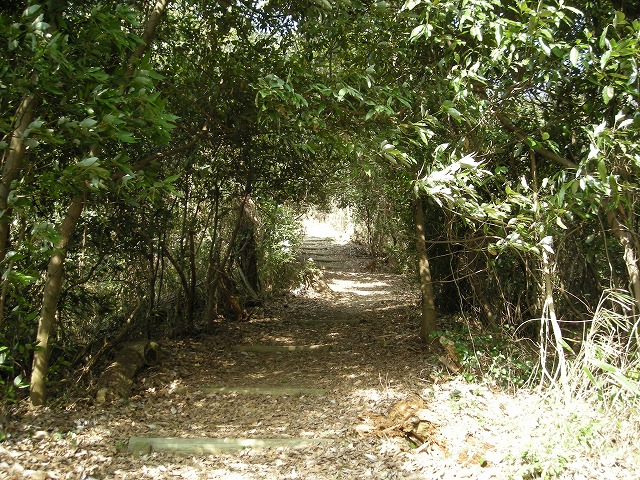 k23_63.jpg