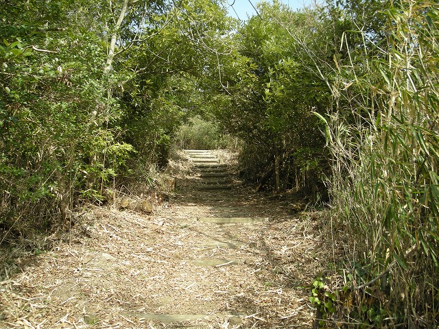 k23_64.jpg