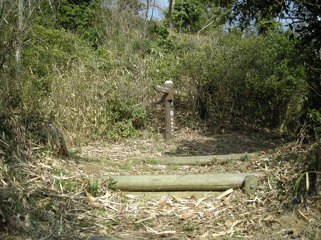 k23_65.jpg