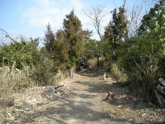 k23_73.jpg