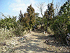 k23_73_thumb.png