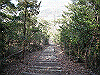 k23_74_thumb.png
