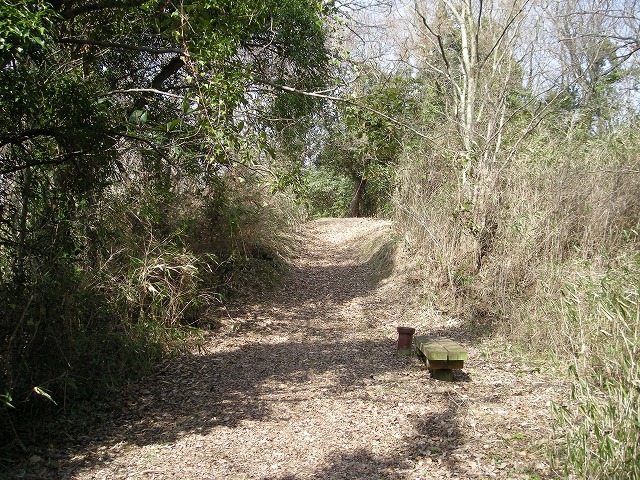k23_77.jpg