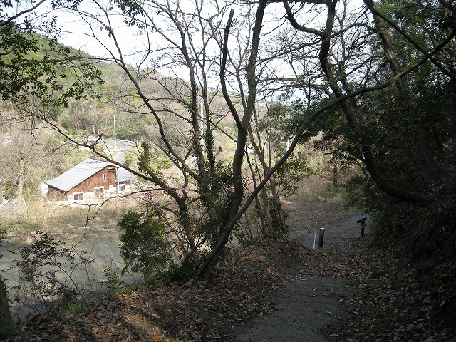 k23_81.jpg