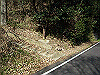 k24_04_thumb.png