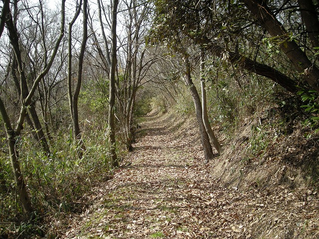 k24_09.jpg