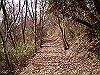 k24_09_thumb.png