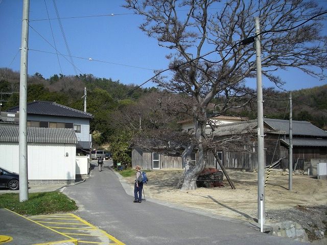k24_24.jpg
