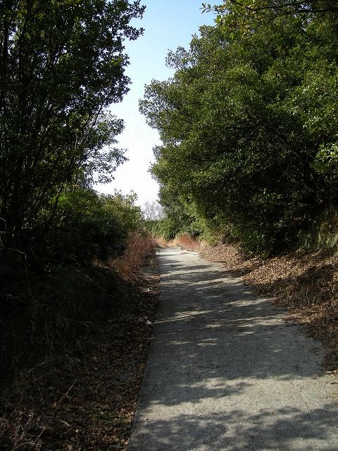 k24_26.jpg