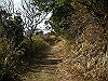 k24_28_thumb.png