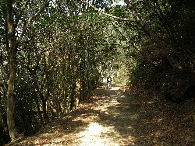 k24_29.jpg