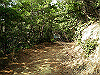 k24_30_thumb.png